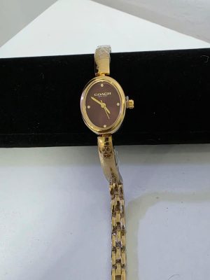 Coach watch